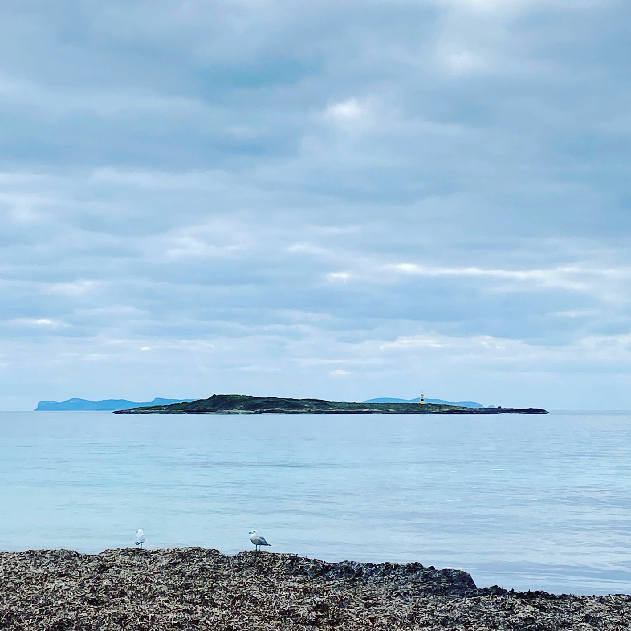 Colònia de Sant Jordi