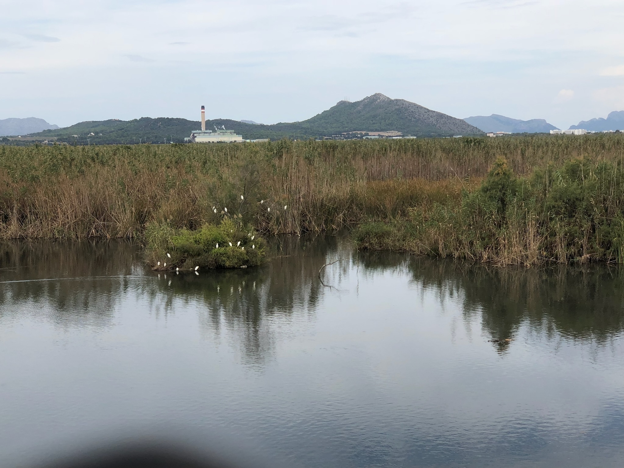 ses Casetes des Capellans