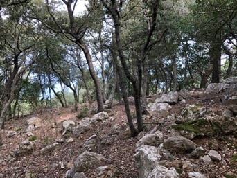 Serra de Tramuntana
