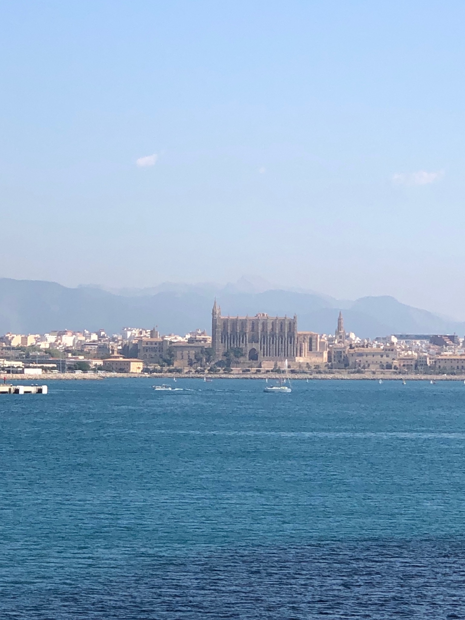 Palma