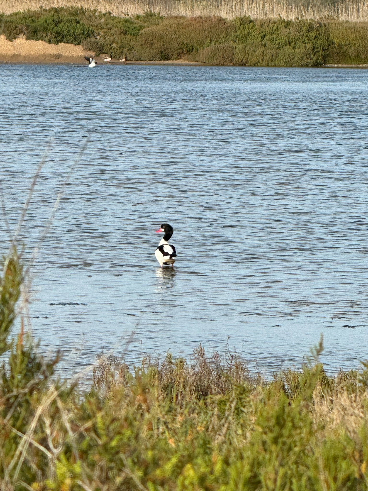 Parc Natural de s'Albufera de Mallorca