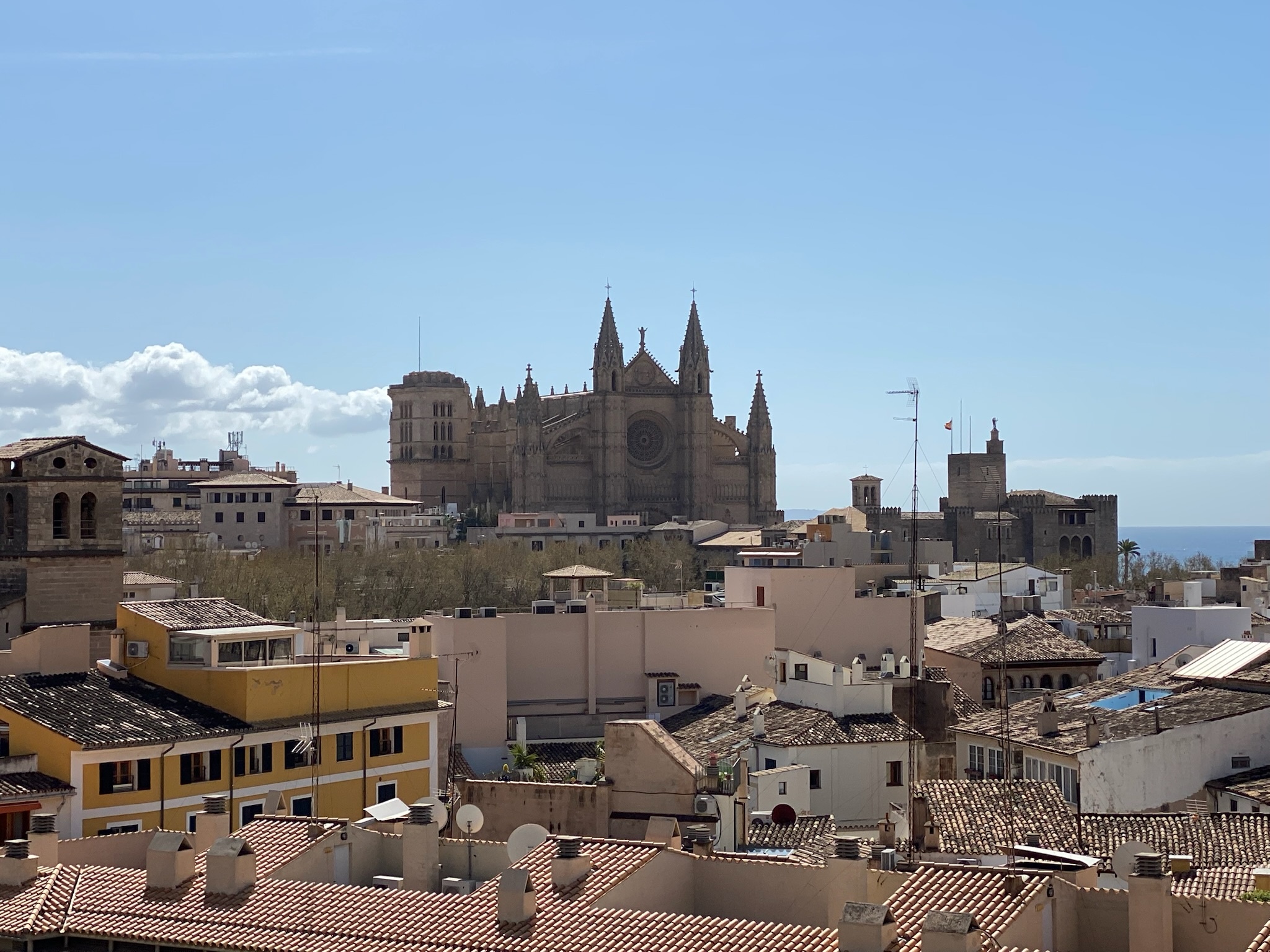 Palma