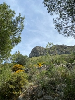 Colònia de Sant Pere