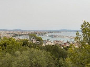 Palma
