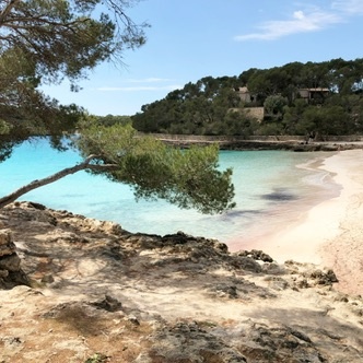 Portopetro