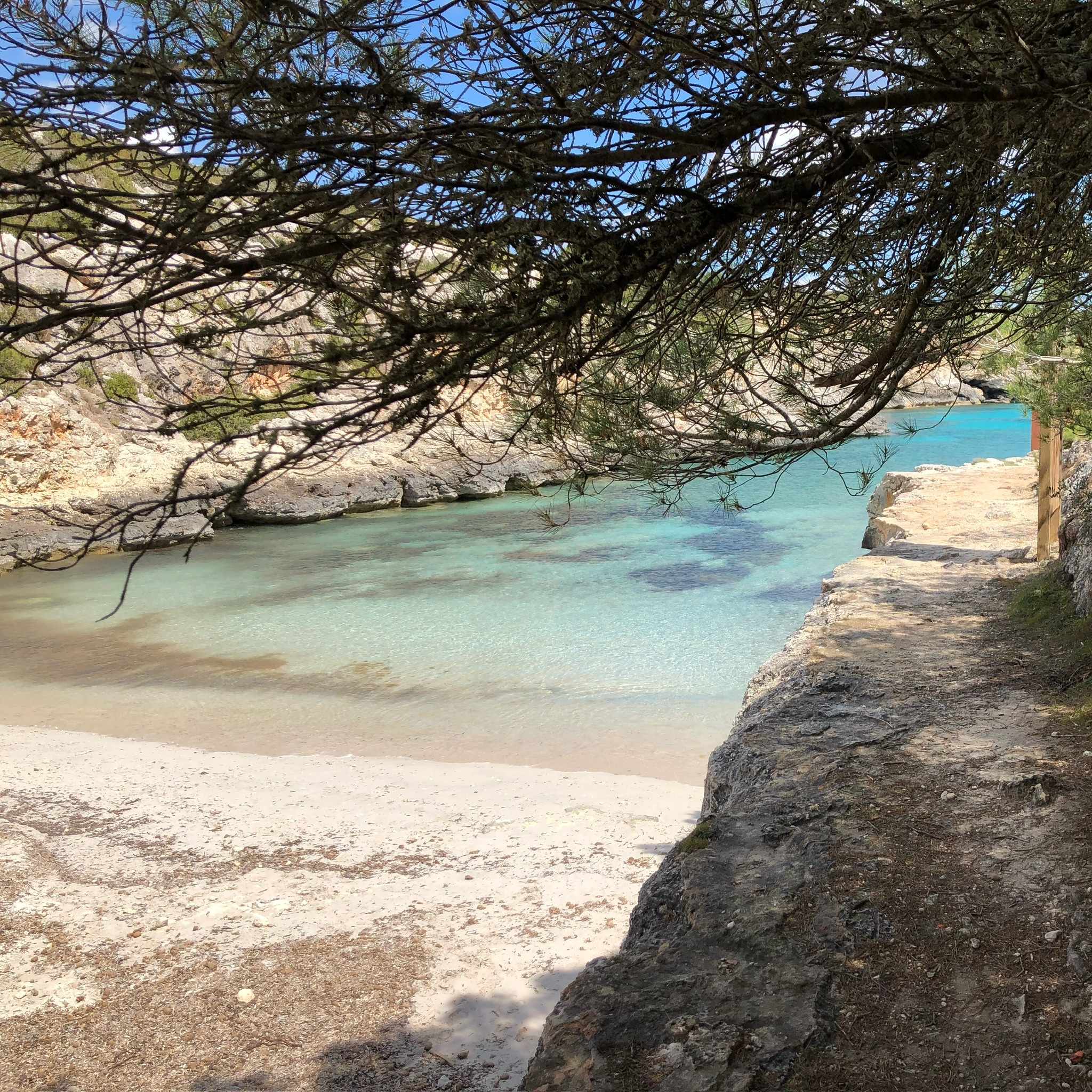 Cales de Mallorca