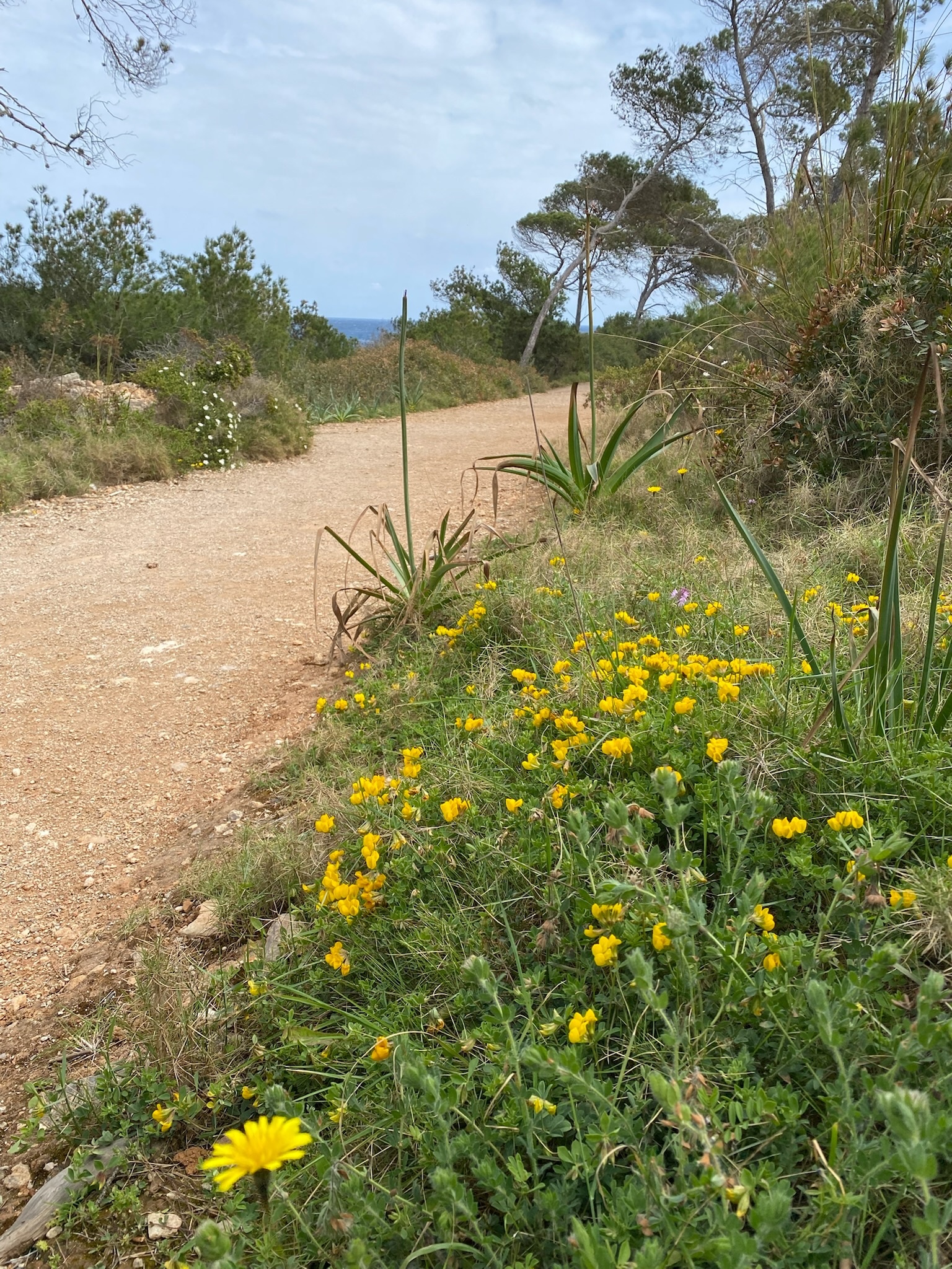 Portopetro