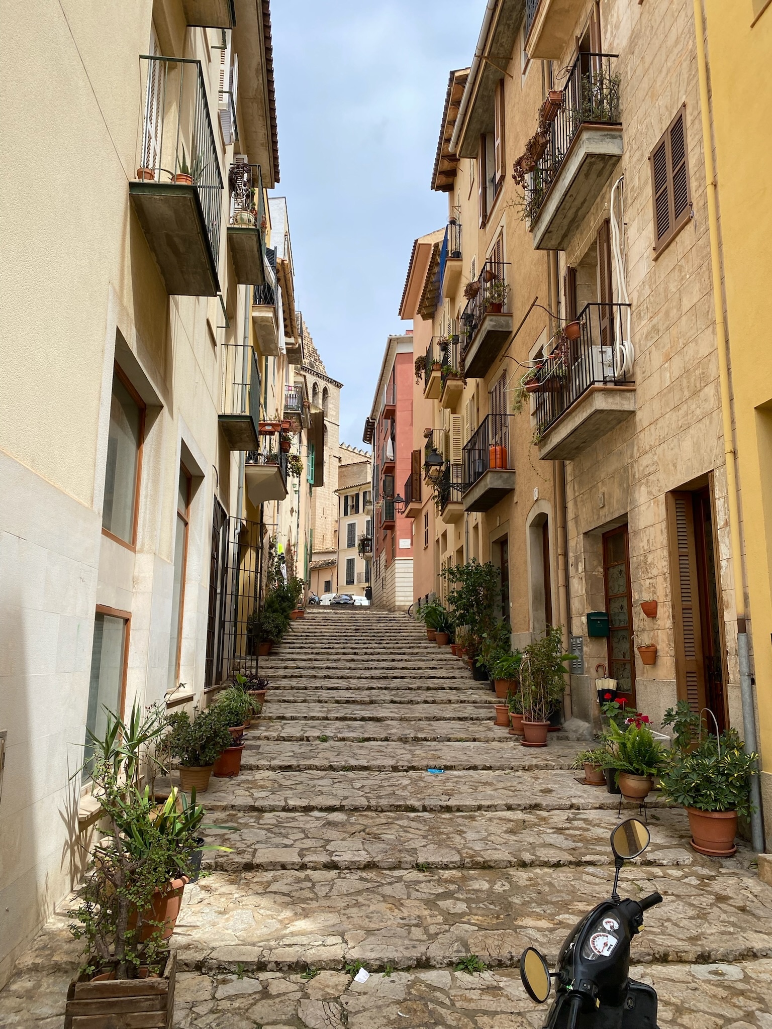 Palma