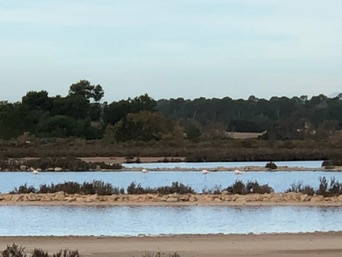 ses Covetes