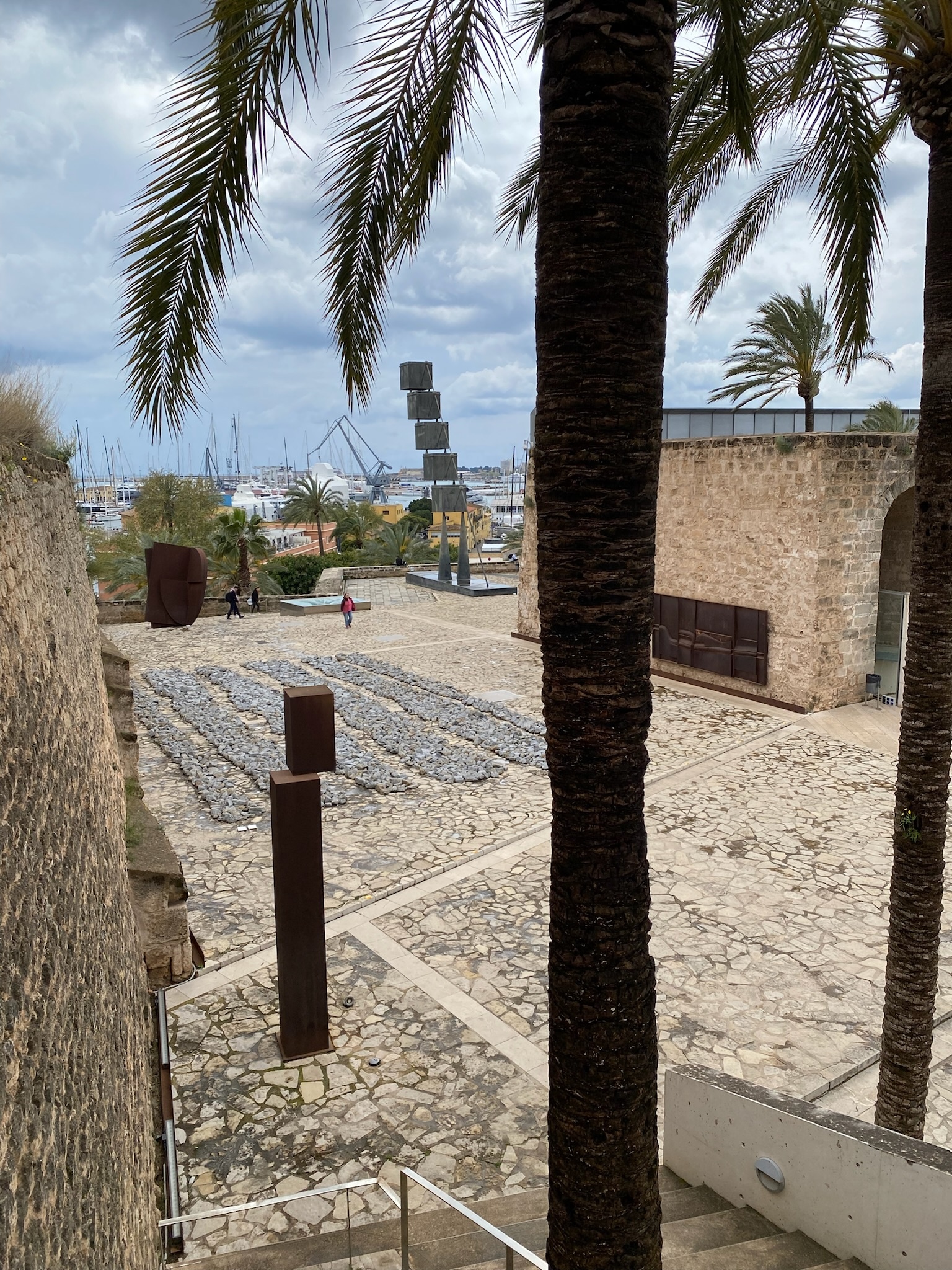 Palma