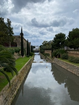Palma