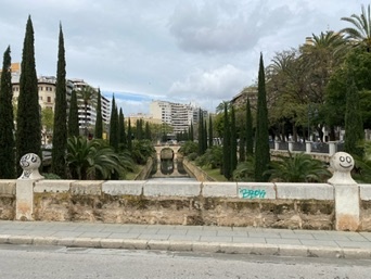 Palma