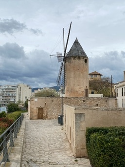 Palma