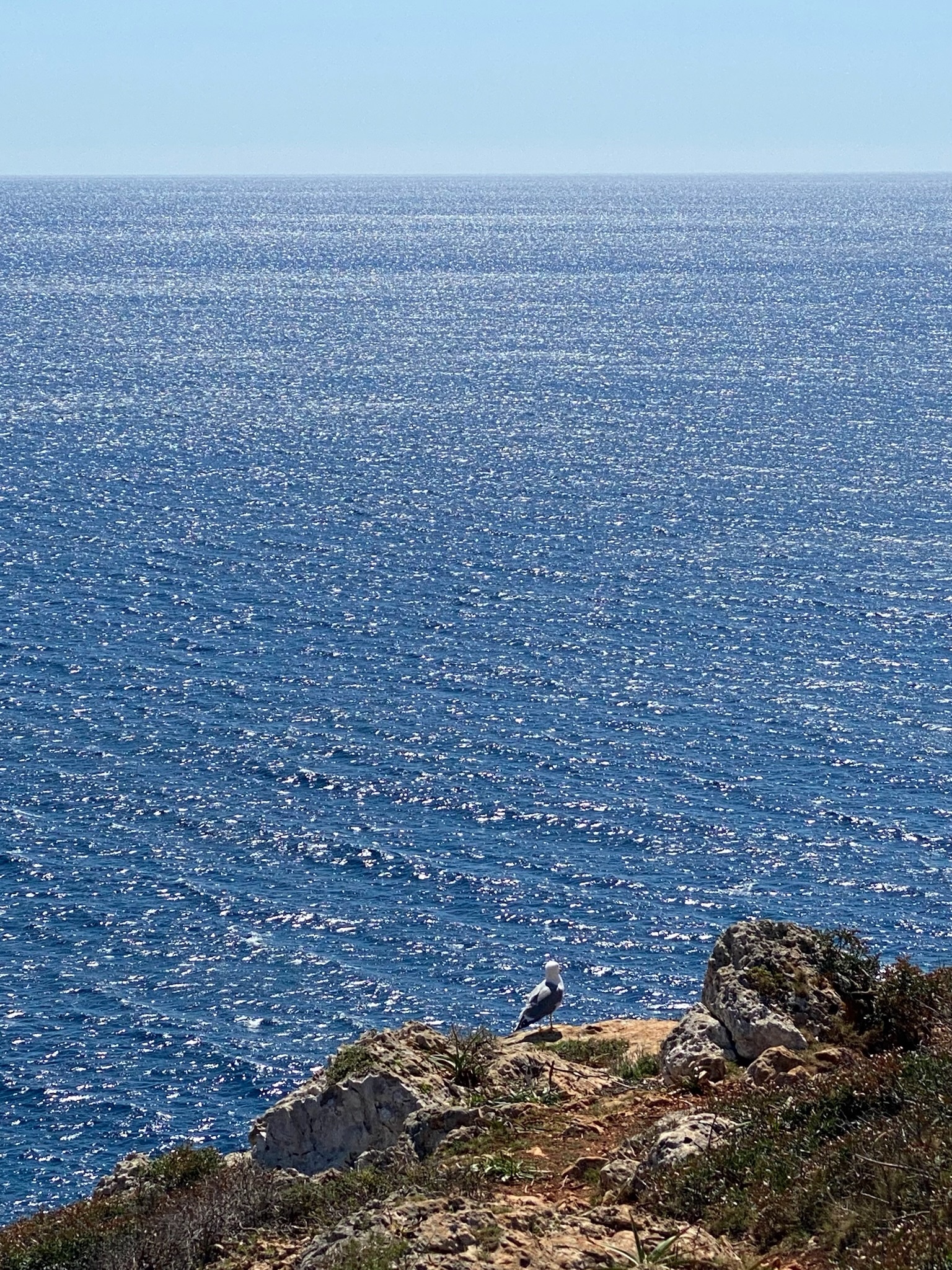s'Estany d'en Mas