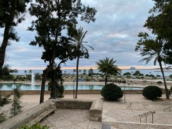 Palma