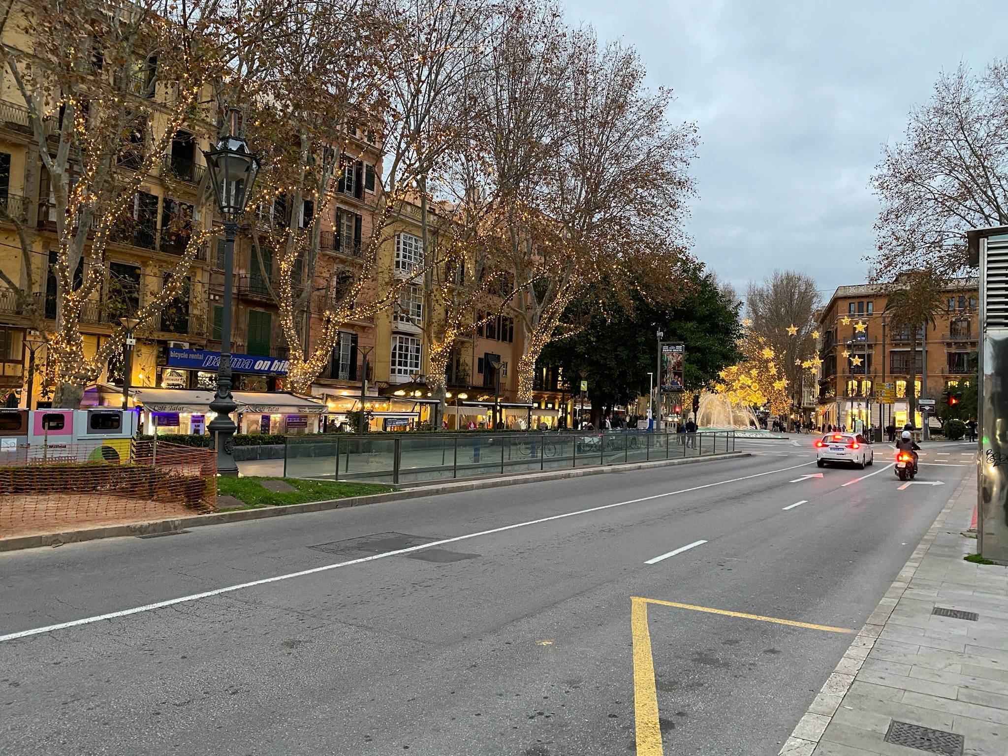 Palma