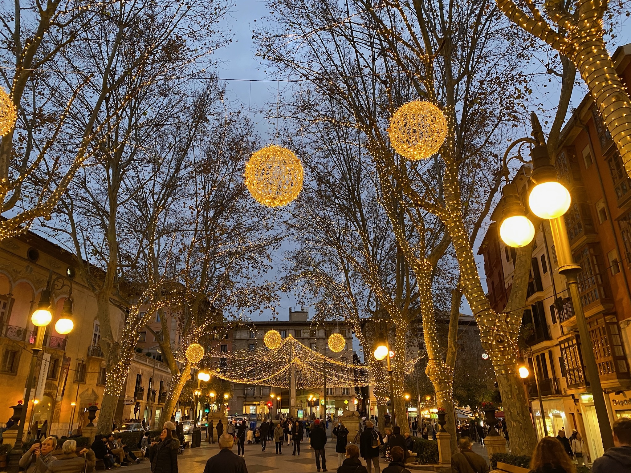 Palma