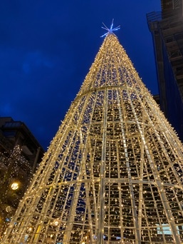 Palma