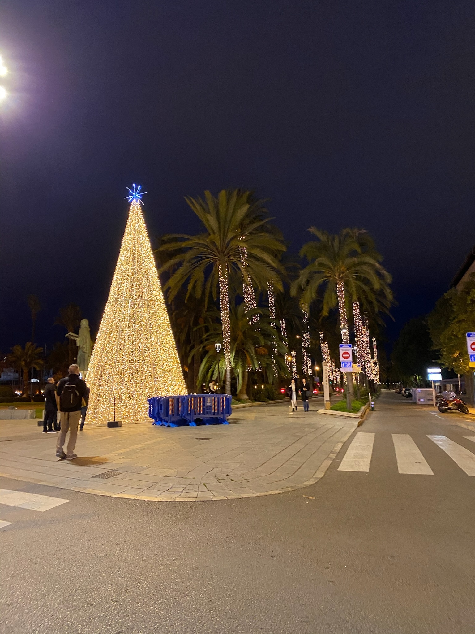 Palma