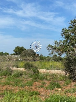 ses Covetes
