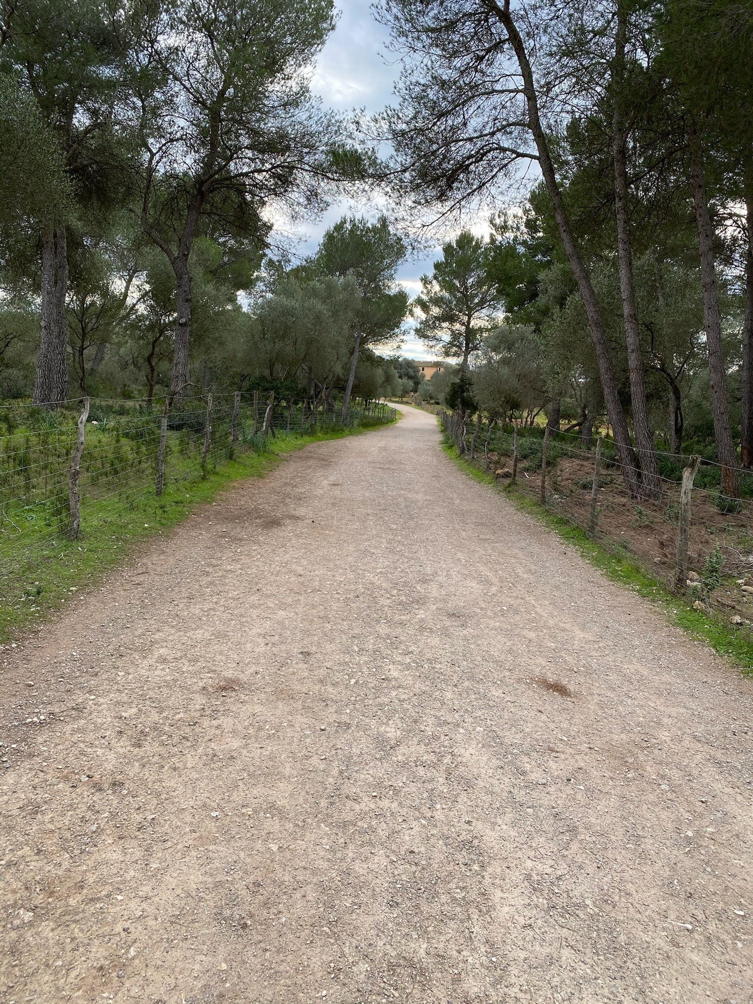 Son Bauló