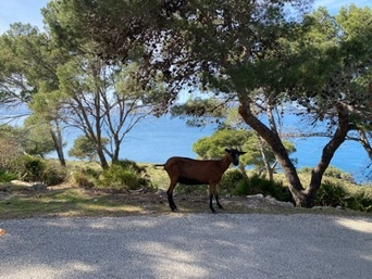 Bonaire