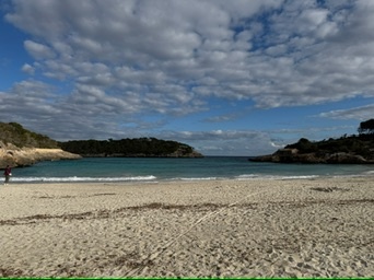 Portopetro
