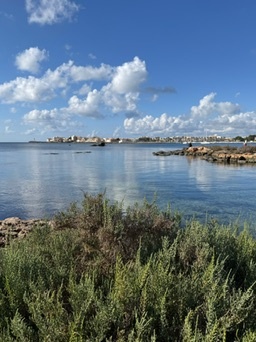 Colònia de Sant Jordi