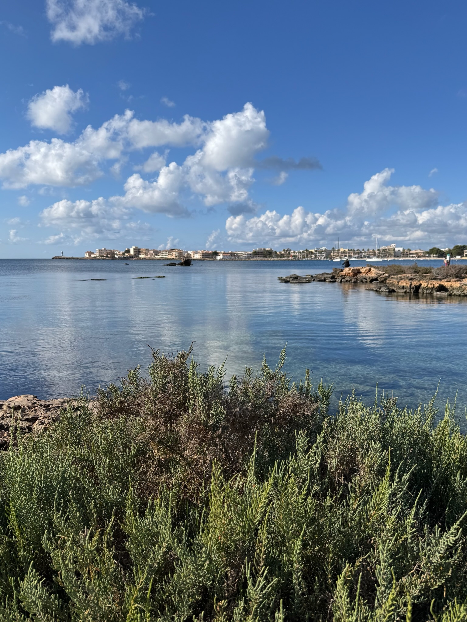 Colònia de Sant Jordi