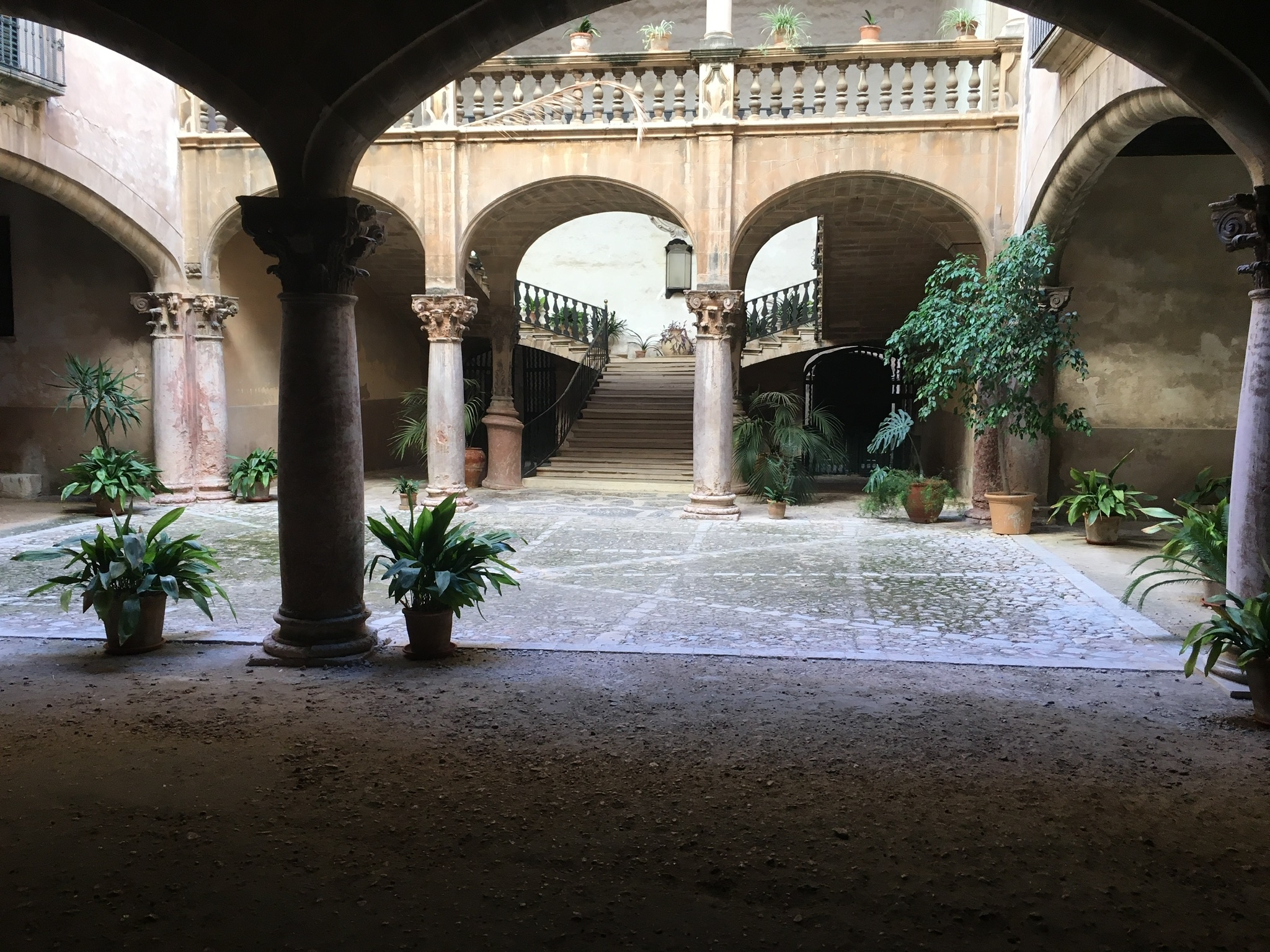 Palma