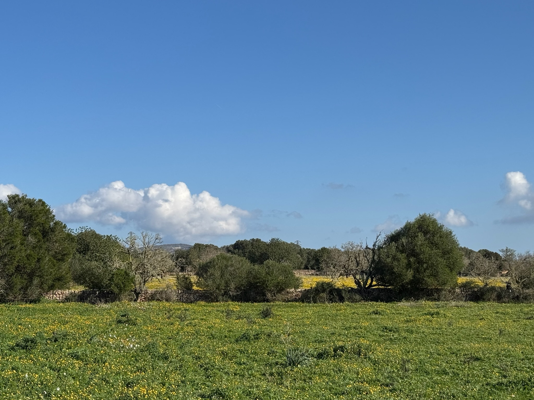 Santanyí