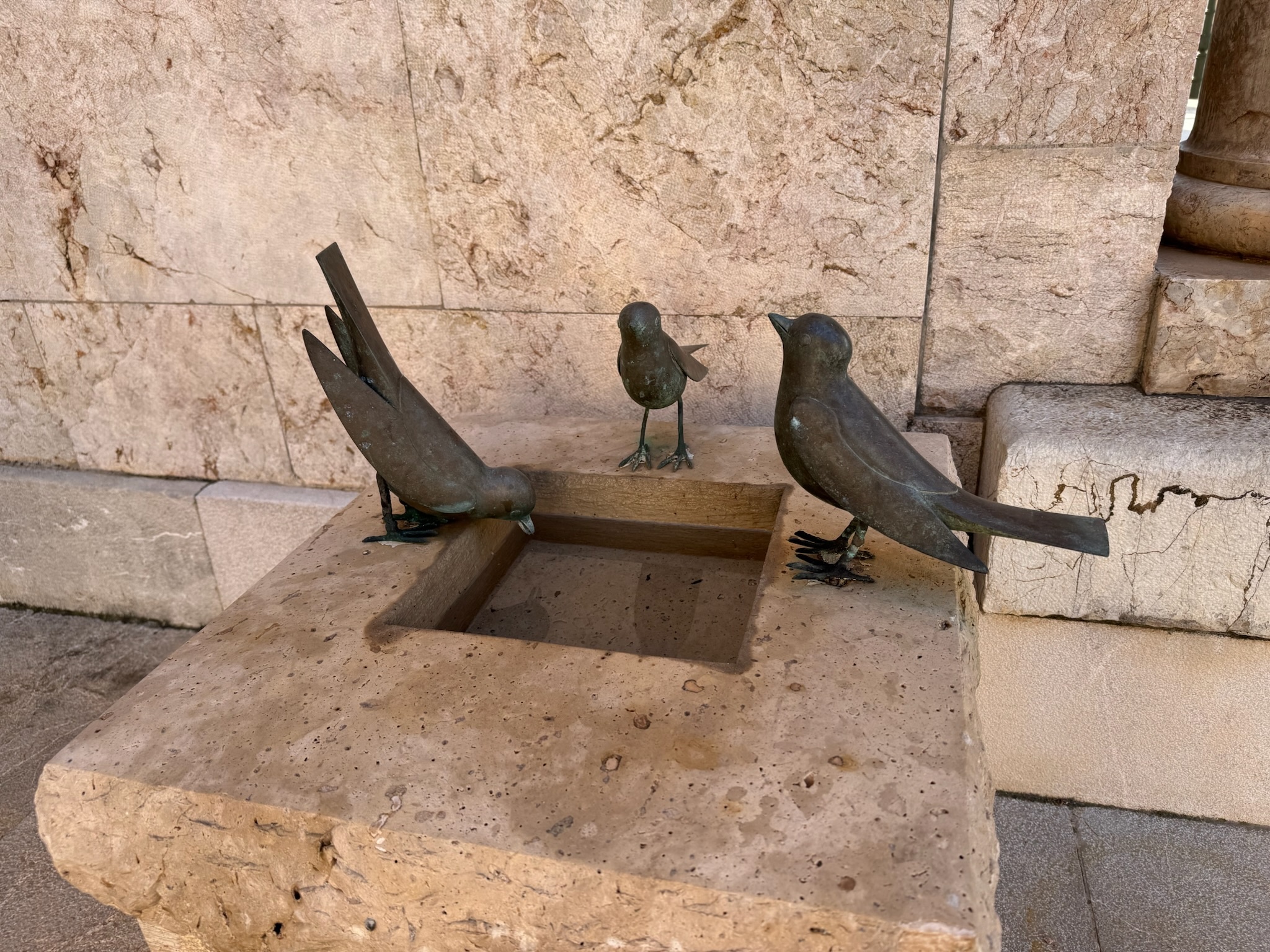 Palma