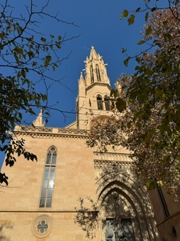 Palma