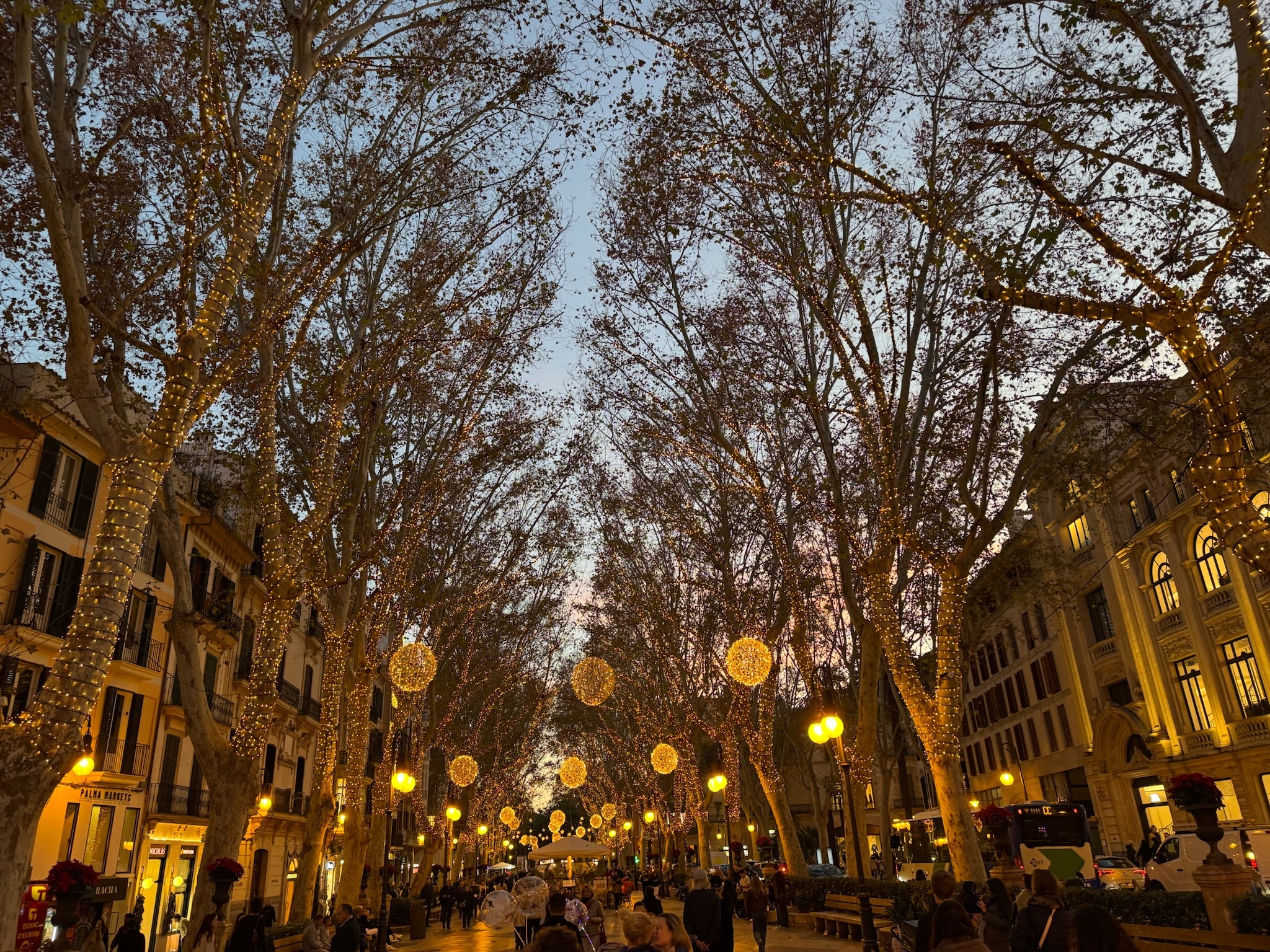 Palma