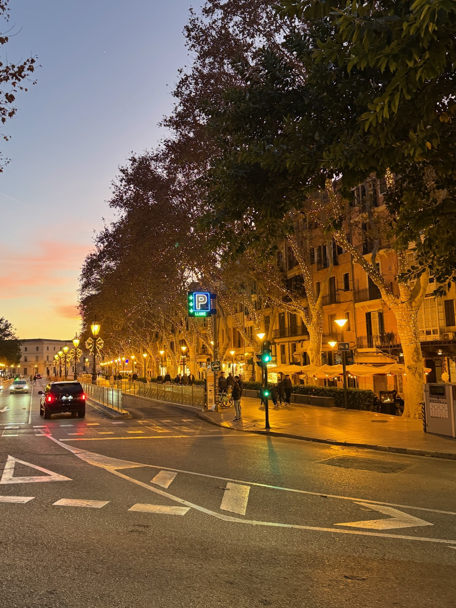 Palma