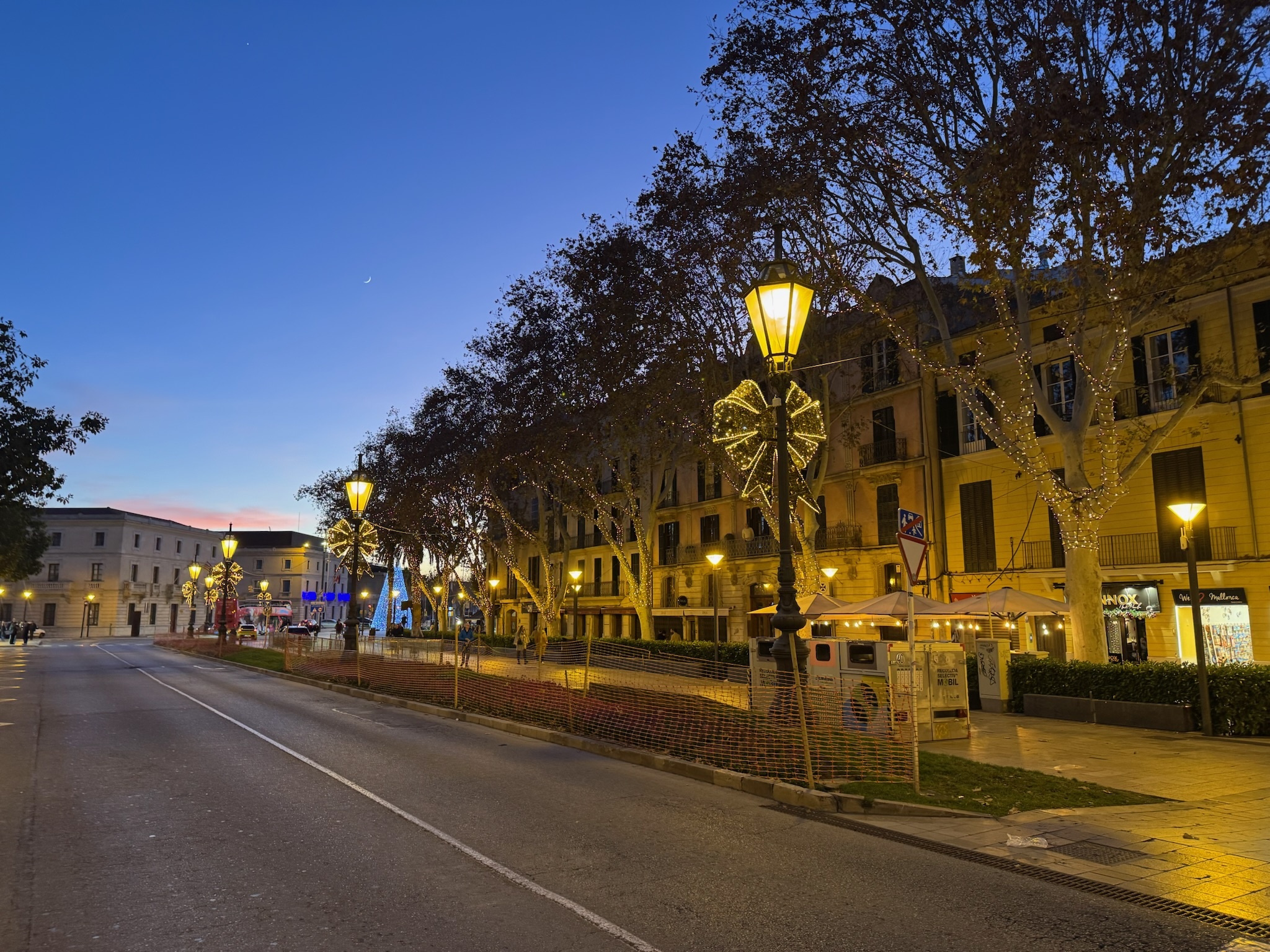 Palma