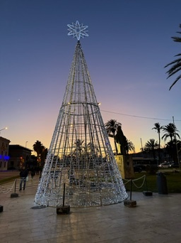 Palma