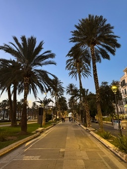 Palma