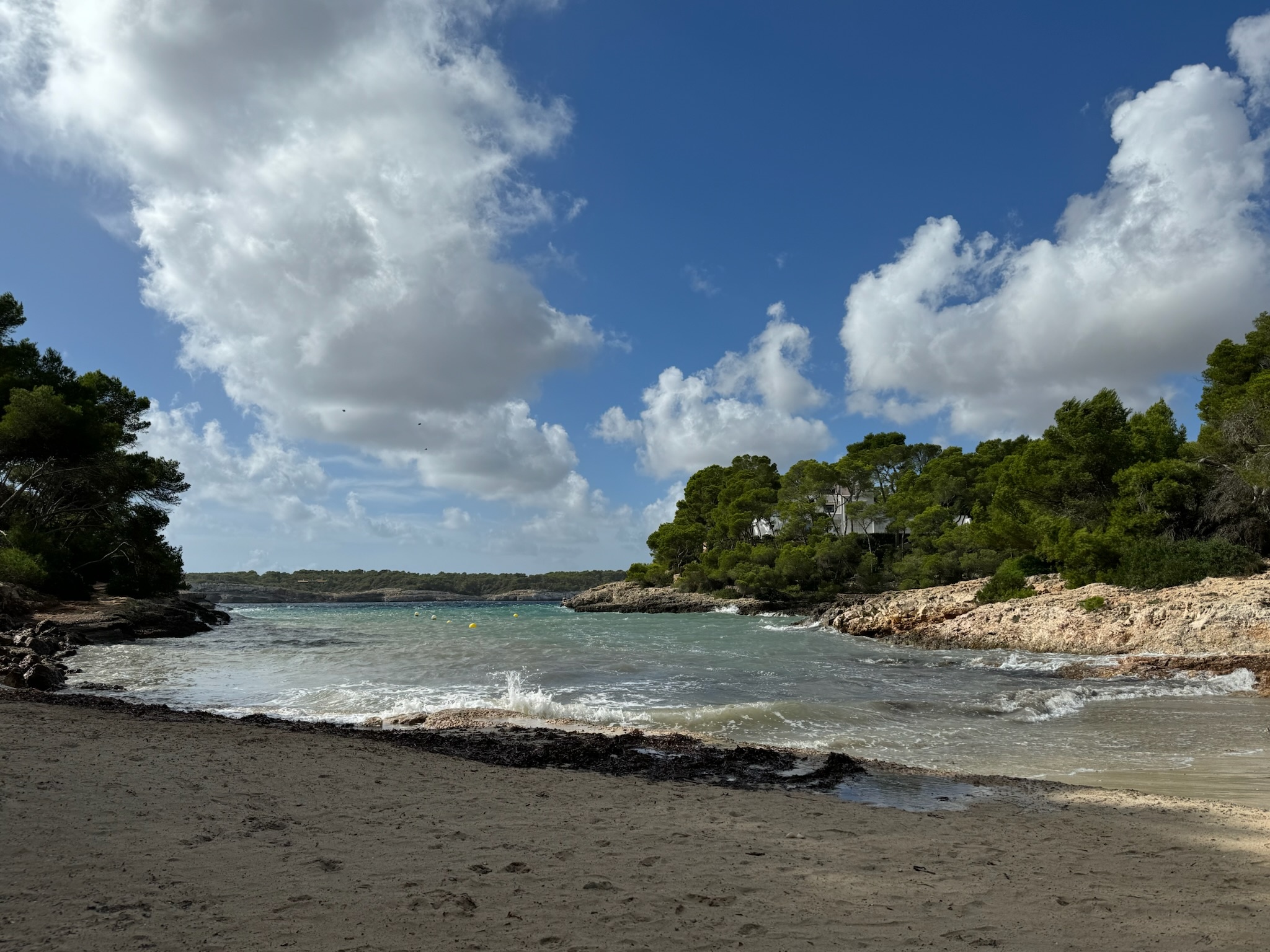 Portopetro