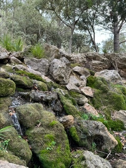 Galilea