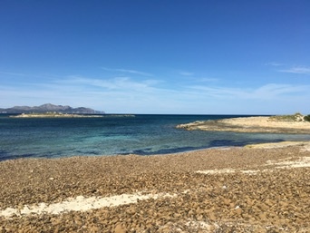 Son Bauló