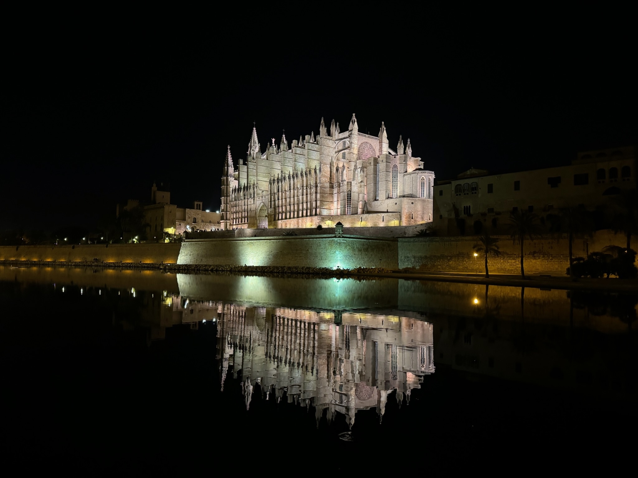 Palma
