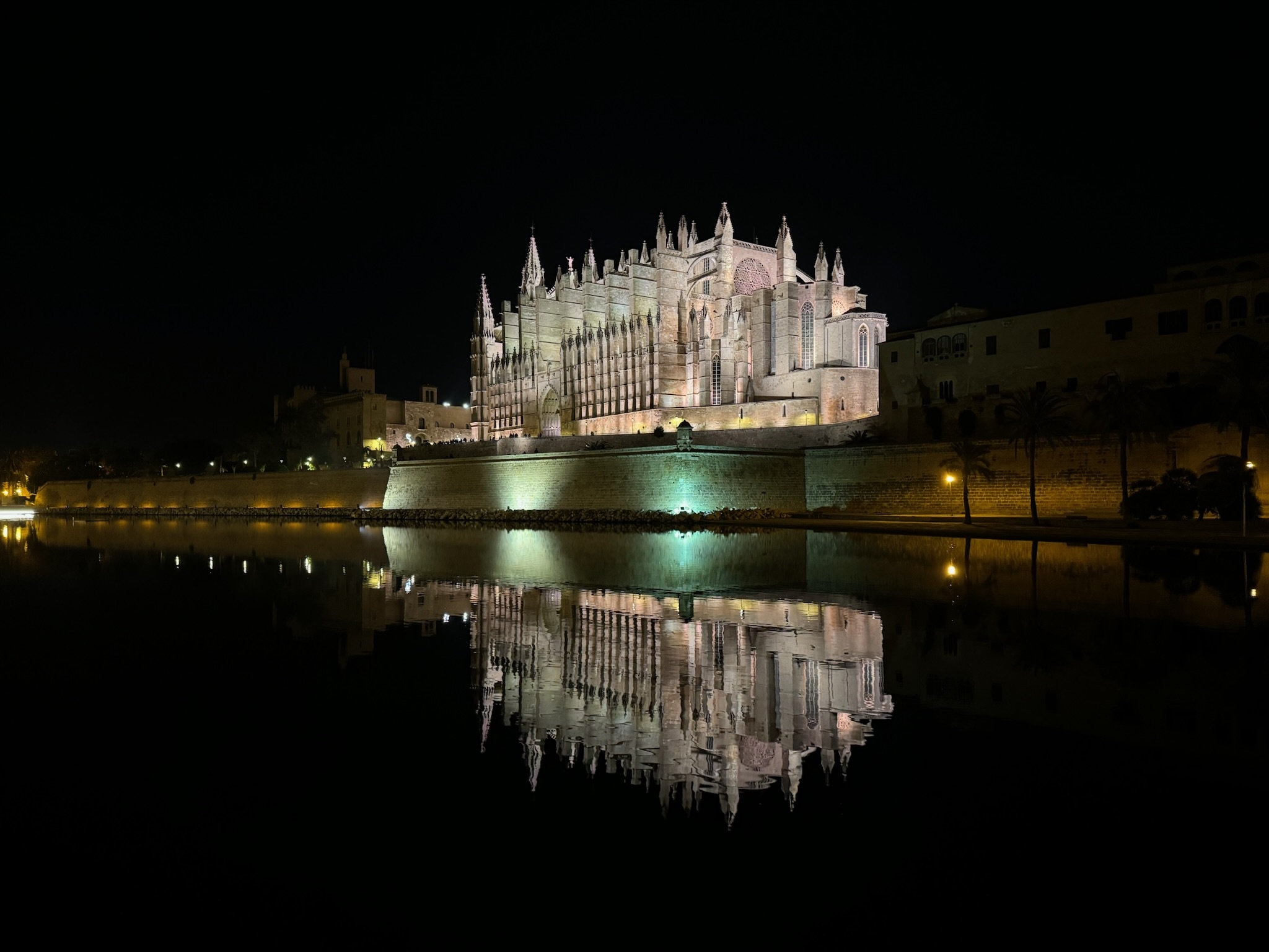 Palma