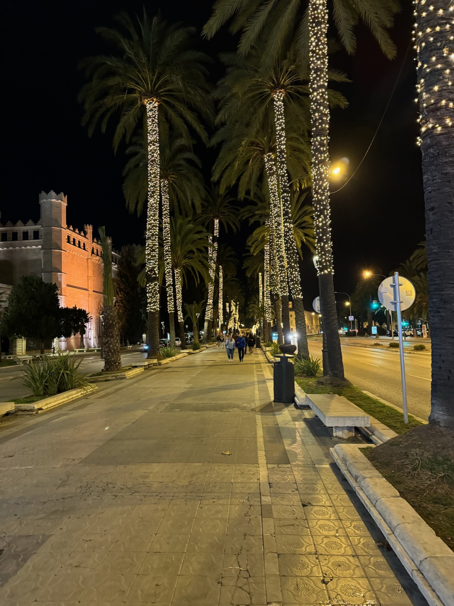 Palma