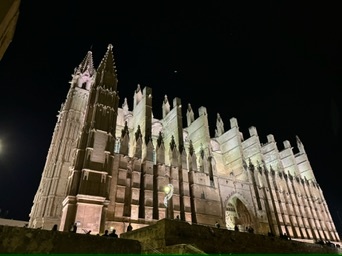 Palma