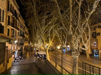 Palma