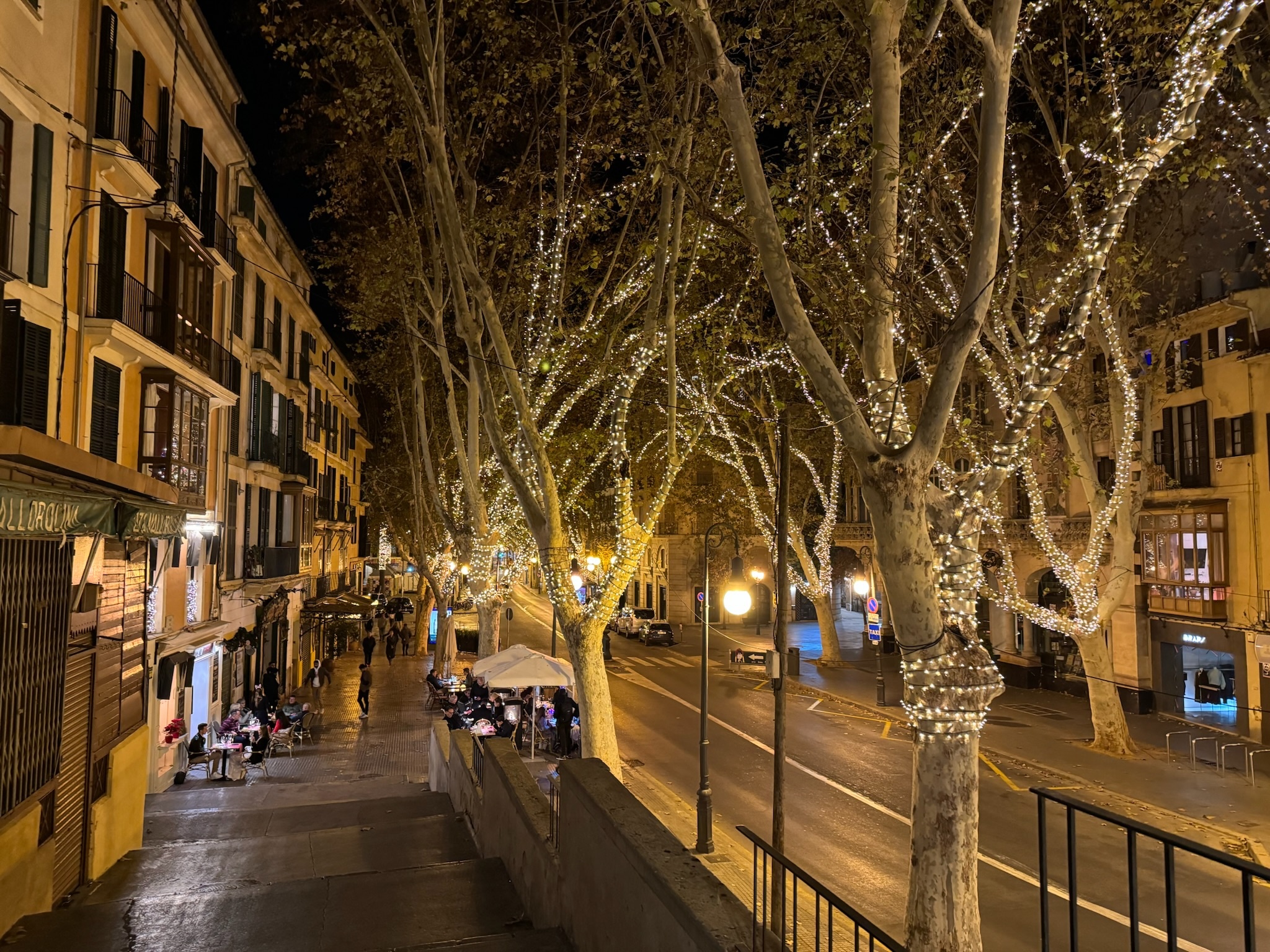 Palma