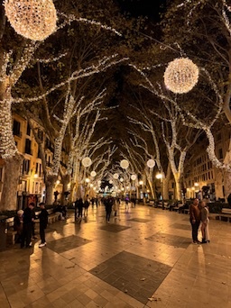 Palma