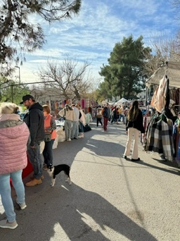 Sineu