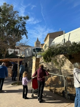 Sineu